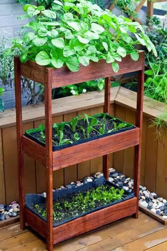 陽臺種菜讓您其樂無窮  天恒裝飾